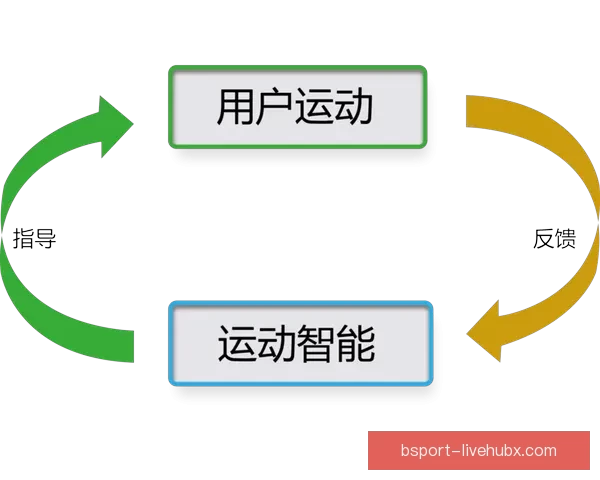 B体育平台综合评测 用户体验与服务质量深度分析